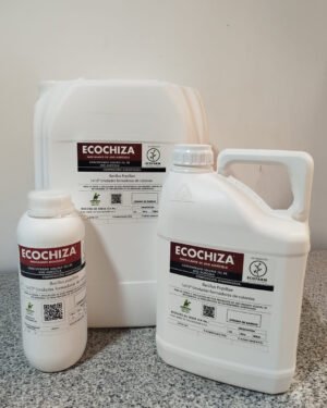 ECOCHIZA