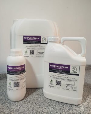 PURPUREOFARM